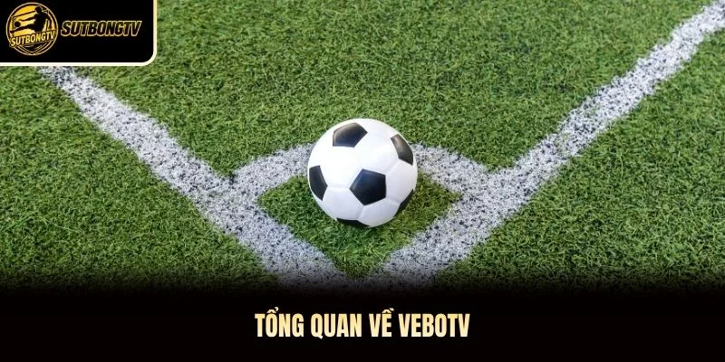 Tổng quan về VeboTV Tổng quan về VeboTV